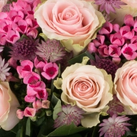Buchet de 15, Trandafiri, Roz, 10, Bouvardia, Roz, Astrantia, Grena, Verdeață 4