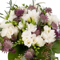 Buchet de 19, Frezii, Albe, Frezie, 10, Astrantia, Grena, Verdeață 3
