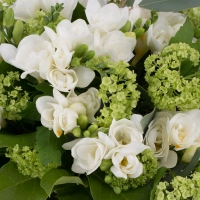 Buchet de 19, Frezii, Albe, Frezie, 10, Viburnum, Verdeață 4