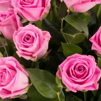 Buchet de 19 Trandafiri roz 4
