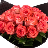 Buchet de 25 Trandafiri corai 3