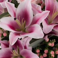 Buchet de 3, Crini, Roz, 5, Trandafiri, Roz, 6, Hypericum, Roz, Verdeață 4