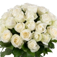 Buchet de 35, Trandafiri, Albi, Verdeață 3
