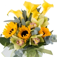 Buchet de 5, Cale, Galbene, Cală, 3, Floarea soarelui, 1 Cymbidium, Verde, Orhidee, Verdeață 3
