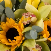 Buchet de 5, Cale, Galbene, Cală, 3, Floarea soarelui, 1 Cymbidium, Verde, Orhidee, Verdeață 4