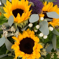 Buchet de 5, Floarea soarelui, 3, Trahelium, Mov, 4, Hypericum, Alb, 4, Green trick, Verdeață 4