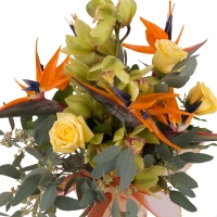 Buchet de 5, Strelitzia, Streliția, 1, Cymbidium, Verde, Orhidee, Verzi, 3, Trandafiri, Galbeni 3