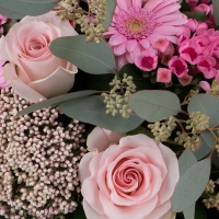 Buchet de 5, Trandafiri, Roz, 3, Bouvardia, 5, Gerbera, 2, Floare de orez, Verdeață 4