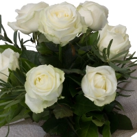 Buchet de 7 Trandafiri albi 4
