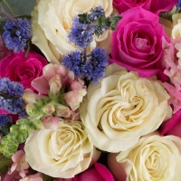 Buchet de 7, Trandafiri, Albi, 6, Trandafiri, Ciclam, 8, Antirrhinum, Roz, 6, Floare de mentă, Verde 4