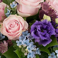 Buchet de 7, Trandafiri, Banan, 8, Oxypetalum, 3, Lisianthus, Mov, 5, Astrantia, Grena, Verdeață 4