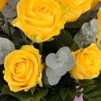 Buchet de 9 Trandafiri galbeni 4