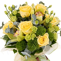 Buchet de 9, Trandafiri, Galbeni, 8, Green trick, 5, Lisianthus, Verde, Verzi, 1, Cymbidium, Orhidee 3