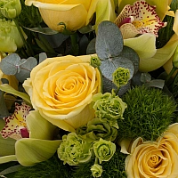 Buchet de 9, Trandafiri, Galbeni, 8, Green trick, 5, Lisianthus, Verde, Verzi, 1, Cymbidium, Orhidee 4