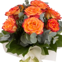 Buchet de 9 Trandafiri portocalii 3