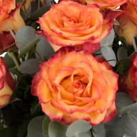 Buchet de 9 Trandafiri portocalii 4