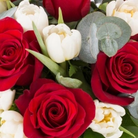 Buchet de 9, Trandafiri, Roșii, Roșu, 20, Lalele, Albe, Lalea, Verdeață 4