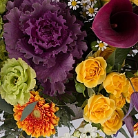 Buchet de Brasica, Cale, Ornitogalum, Minirose, Minirosa, Gerbera, Lisianthus, Clematis, Mușețel 4