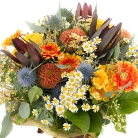Buchet de Leucadendron, Dalii, Dalie, Gerbera, Minirose, Galbene, Minirosa, Eringium, Mușețel, Verde 3