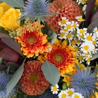 Buchet de Leucadendron, Dalii, Dalie, Gerbera, Minirose, Galbene, Minirosa, Eringium, Mușețel, Verde 4