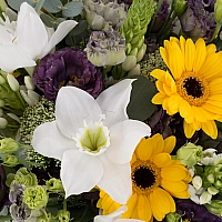 Buchet de Ornitogalum, Lisanthus, Mov, Trahelium, Gerbera, Galbenă, Eucharis, Grandiflora, Verdeață 4