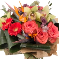 Buchet de Trandafiri, Corai, Cymbidium, Orhidee, Gerbera, Strelitzia, Streliţia, Astrantia, Verdeață 3
