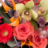 Buchet de Trandafiri, Corai, Cymbidium, Orhidee, Gerbera, Strelitzia, Streliţia, Astrantia, Verdeață 4