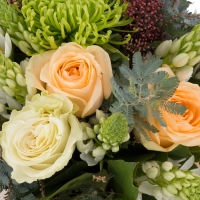 Buchet de Trandafiri, Peach, Ornitogalum, Alb, Schimia, Crizanteme, Green spider, Verdeață 4