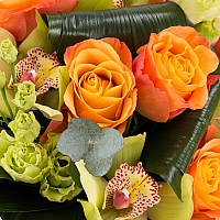 Buchet de Trandafiri, Portocalii, Portocaliu, Lisianthus, Verde, Cymbidium, Orhidee, Aspidistra 4