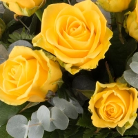 Buchet din 15 Trandafiri Galbeni 4