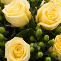 Buchet din 9, Trandafiri, Galbeni, 10, Hypericum, Verde, Verdeață 4
