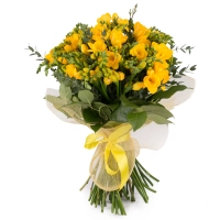 Buchet din Frezii, Galbene, Frezie, Galbenă, Verdeață 2