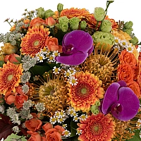 Buchet Leucospermum, Gerbera, Lisianthus, Phalaenopsis, Mușețel, Astrantia, Minirosa, Frunză Arțar 3