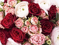 Buchet Mireasa/Nasa ranunculus si trandafiri rosii 4