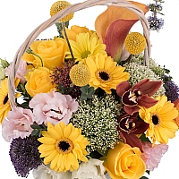 Coș cu trahelium, trandafiri, cale si gerbera 3