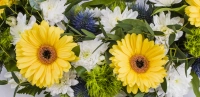 Coroana funerara rotunda Gerbera 4