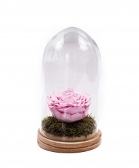 Trandafir criogenat roz în cupolă de sticlă. Trandafir nemuritor, preț accesibil. Cadou floral unic. Comandă online trandafir criogenat cupola sticla. 4