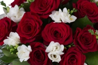 Duet de neuitat: buchet trandafiri rosii si frezii albe. 4