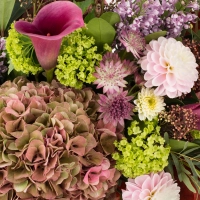 Hortensia, Cappucino, Dalii, Liliac, Cale, Cală, Viburnum, Astrantia, Eucalipt, Frunze de arțar 4