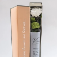 Trandafir alb elegant 3