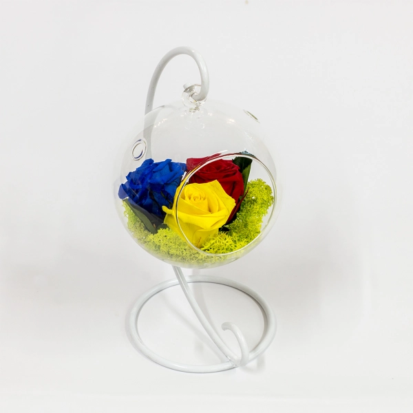 Tricoloratul