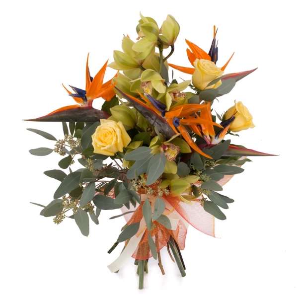 Buchet de 5, Strelitzia, Streliția, 1, Cymbidium, Verde, Orhidee, Verzi, 3, Trandafiri, Galbeni