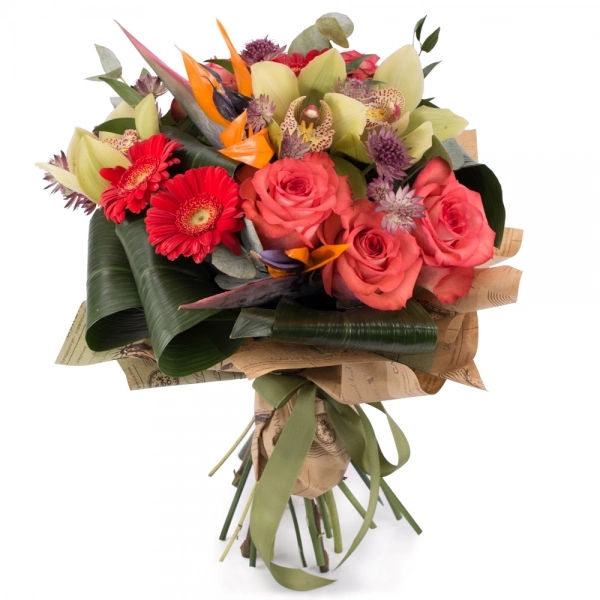 Buchet de Trandafiri, Corai, Cymbidium, Orhidee, Gerbera, Strelitzia, Streliţia, Astrantia, Verdeață